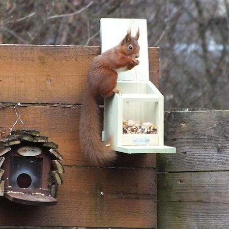 Woodburn Ground-Floor Apartment In Quiet Setting In Pitlochry Kültér fotó